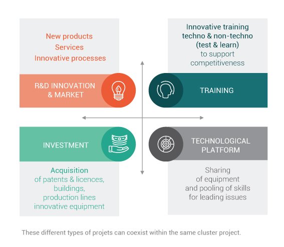 CHARACTERISTICS OF CLUSTER PROJECTS