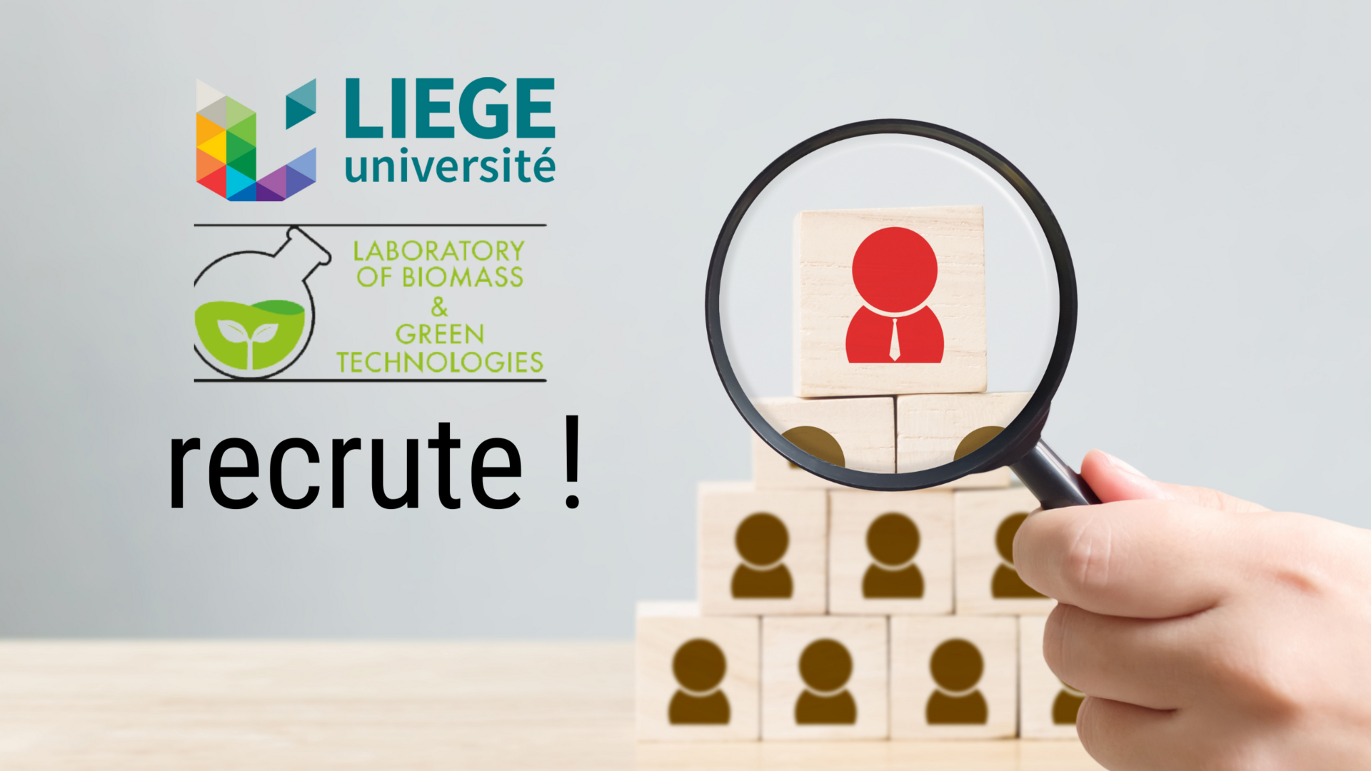 ULiège ( Liège University)'s Laboratory of Biomass & Green Technologies is hiring