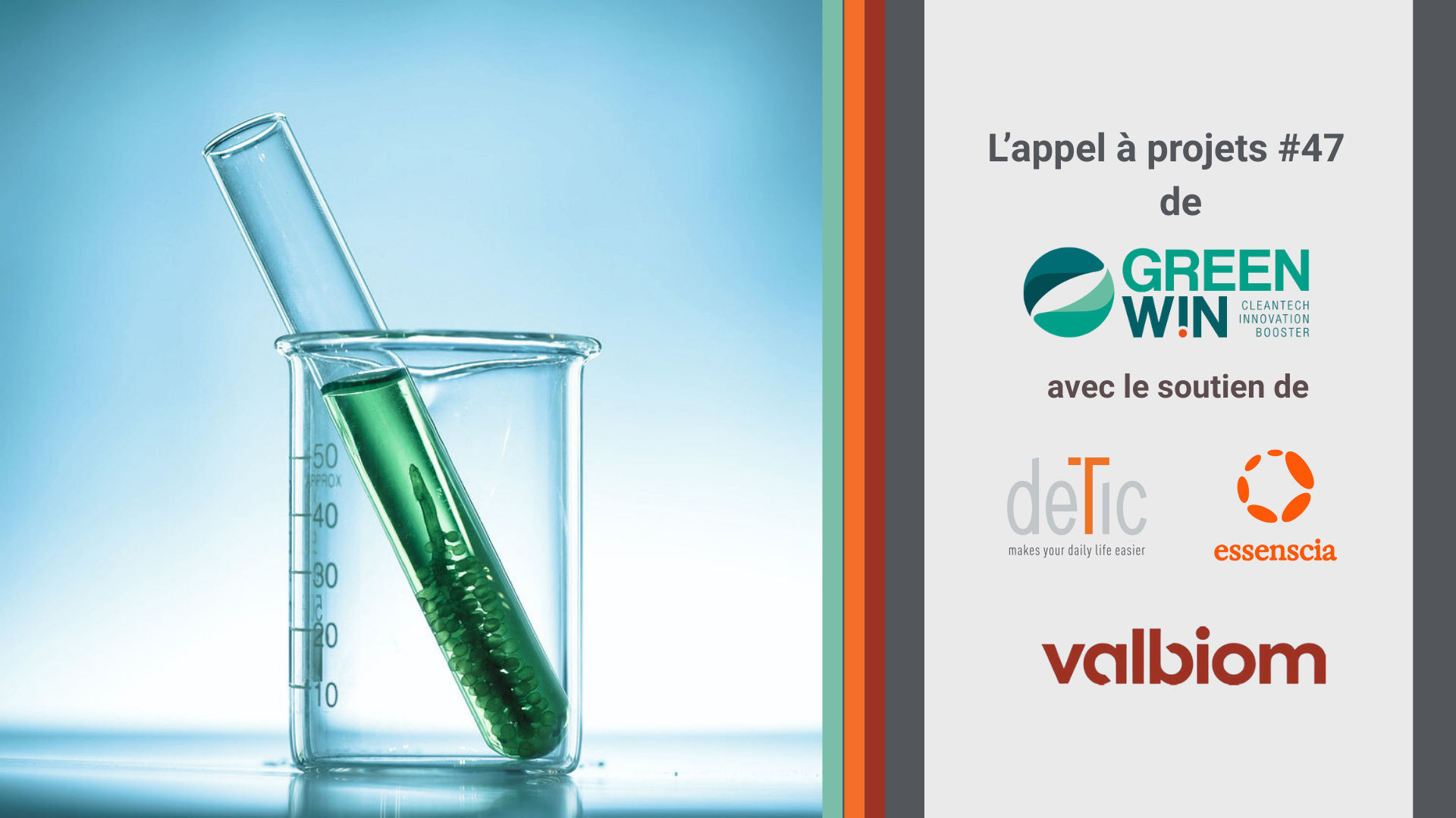 ! Molécules d’avenir ! GreenWin lance l’appel à projets 47 avec essenscia, DETIC & Valbiom