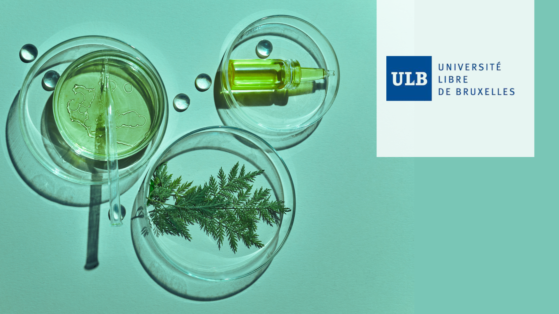 APPEL à COLLABORATION  aux ENTREPRISES en Wallonie – Synthèse verte de molécules pour cosmétiques durables, projet proposé par le Pr. Gwilherm EVANO (ULB) et le WEL Research Institute
