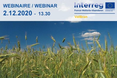 Projet européen VALBRAN: Inscrivez-vous au webinaire sur les résultats de ce projet de valorisation du son de blé