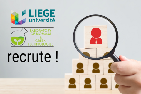ULiège ( Liège University)'s Laboratory of Biomass & Green Technologies is hiring