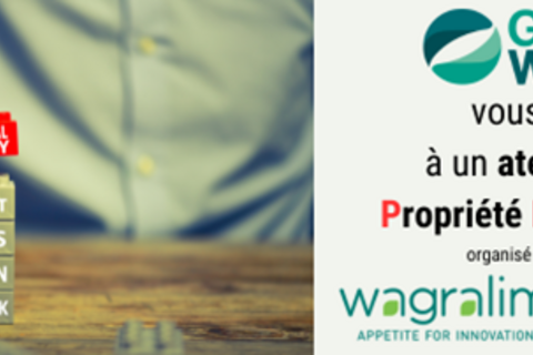 Atelier sur la Propriété Intellectuelle