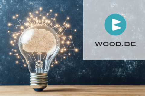 Recherche de partenaires – Expertise bois de WOOD.BE pour l’appel #47 « Molécules d’avenir » GreenWin