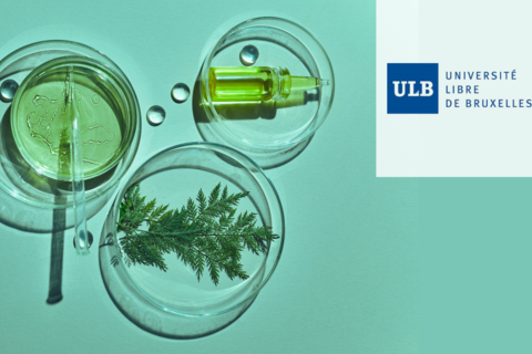 APPEL à COLLABORATION  aux ENTREPRISES en Wallonie – Synthèse verte de molécules pour cosmétiques durables, projet proposé par le Pr. Gwilherm EVANO (ULB) et le WEL Research Institute
