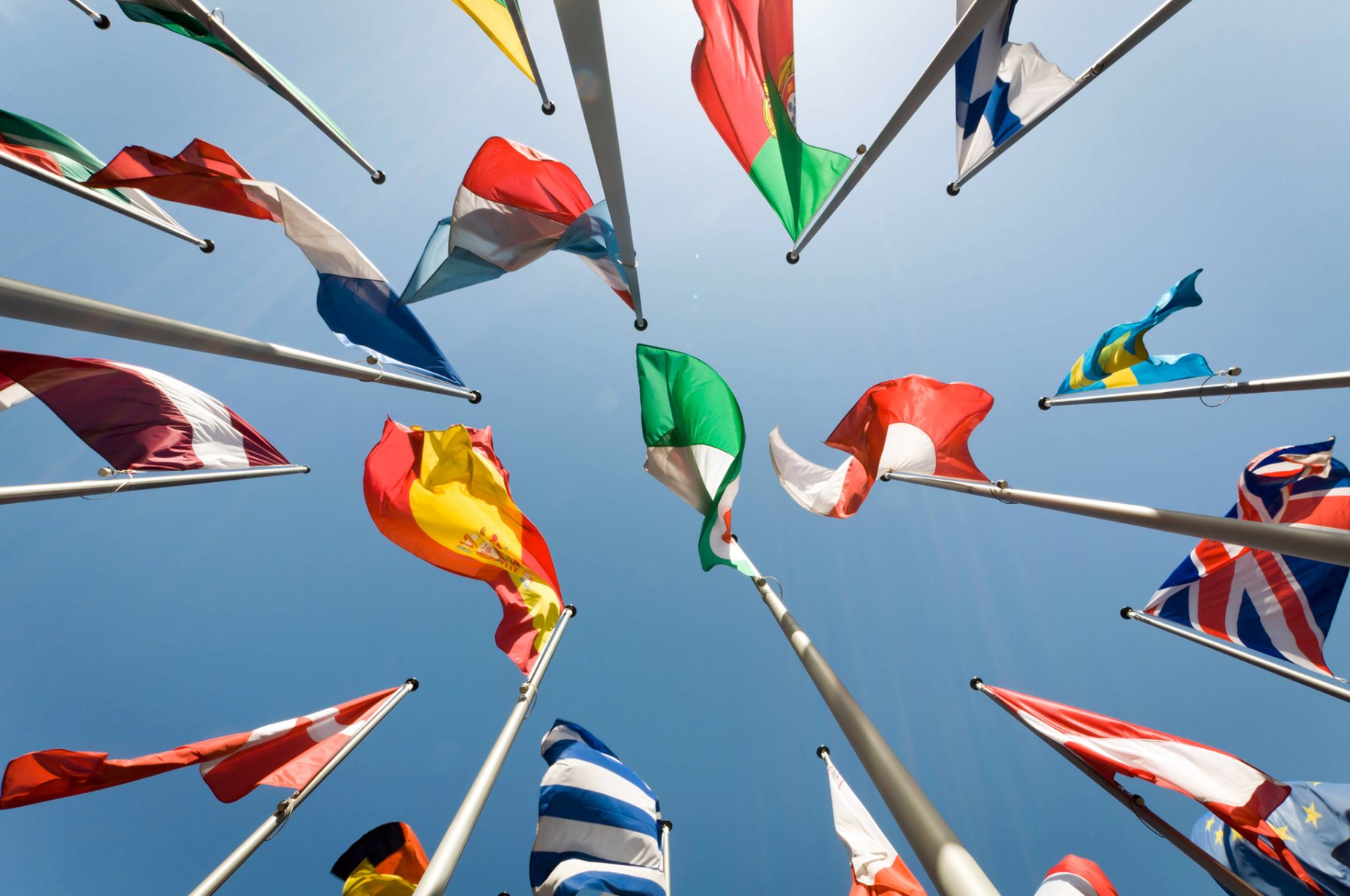 Le Pôle et l’International